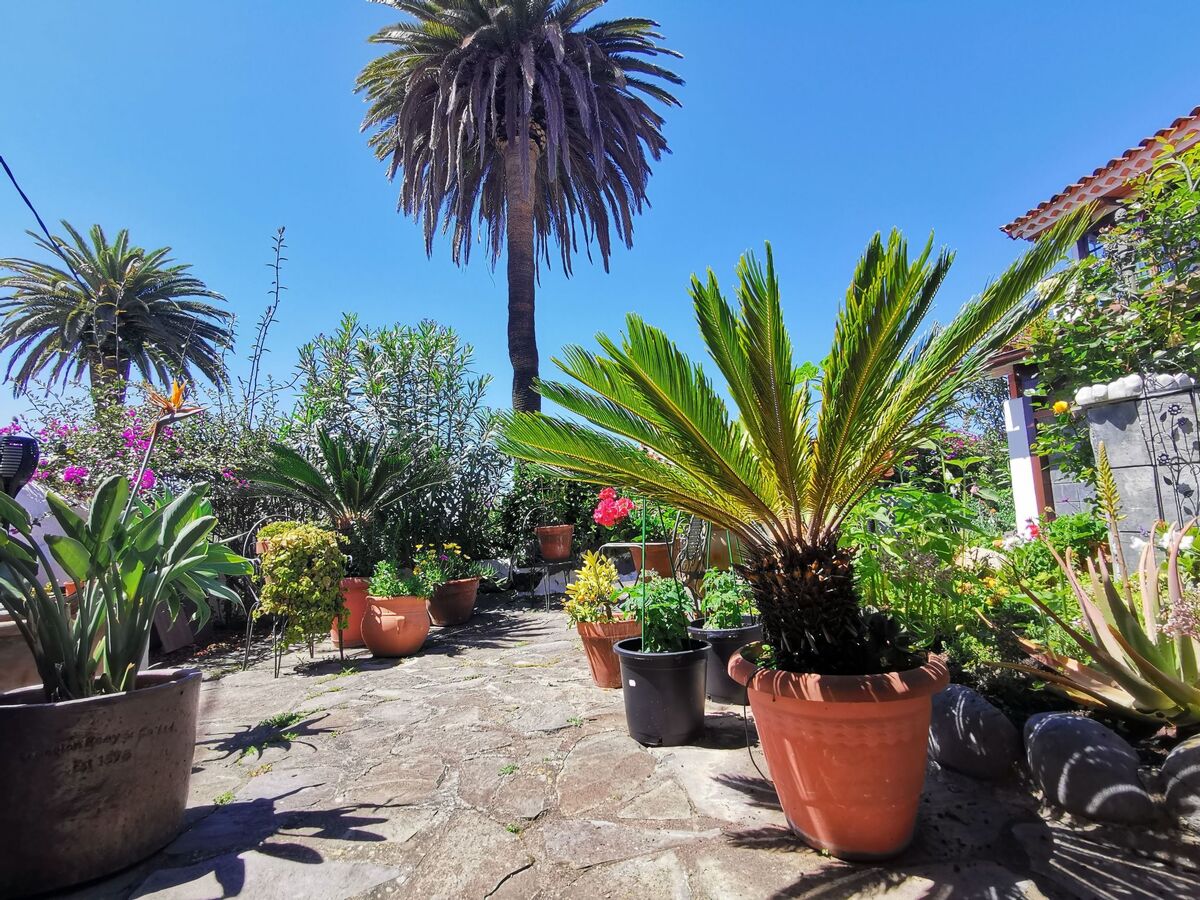 Maison rénovée dans une finca de 1750, piscine privée, vue Teide - Photo 28