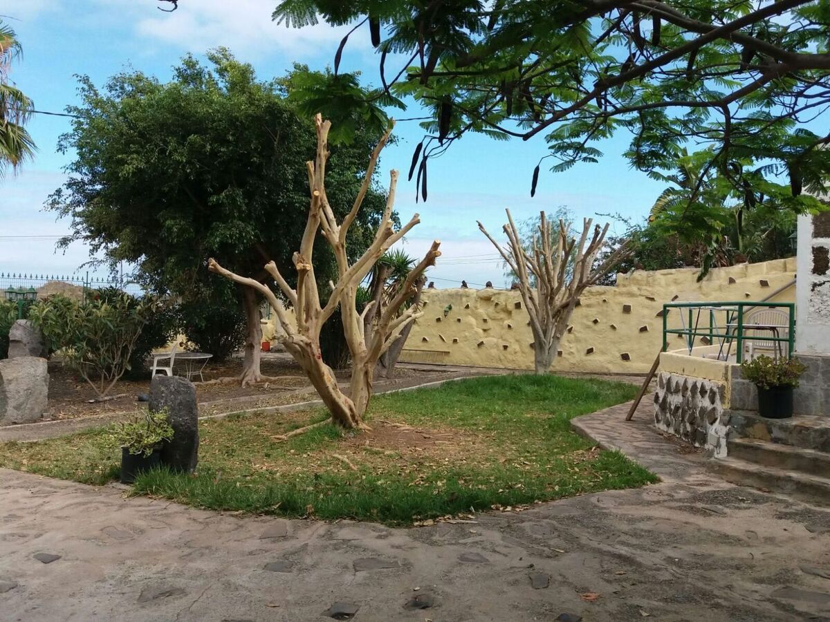 Casa El Cardón B2 – Maison à Buenavista del Norte - Photo 28