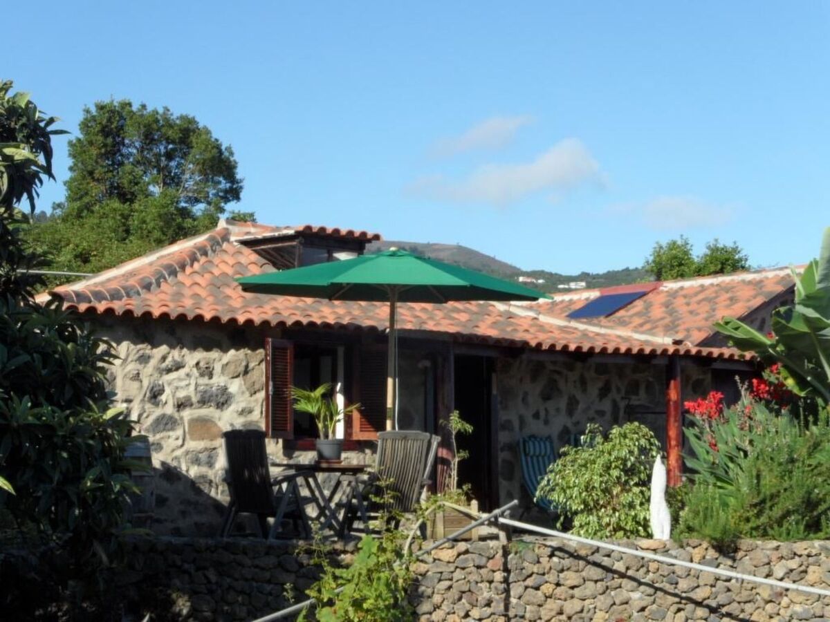 Finca Cueva del Viento à Icod de los Vinos - Photo 15