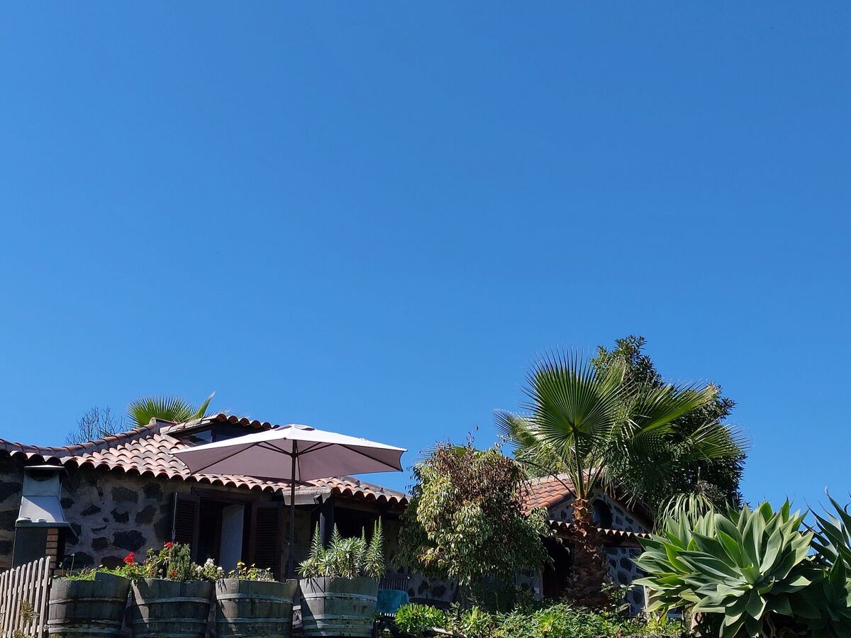 Finca Cueva del Viento à Icod de los Vinos - Photo 29