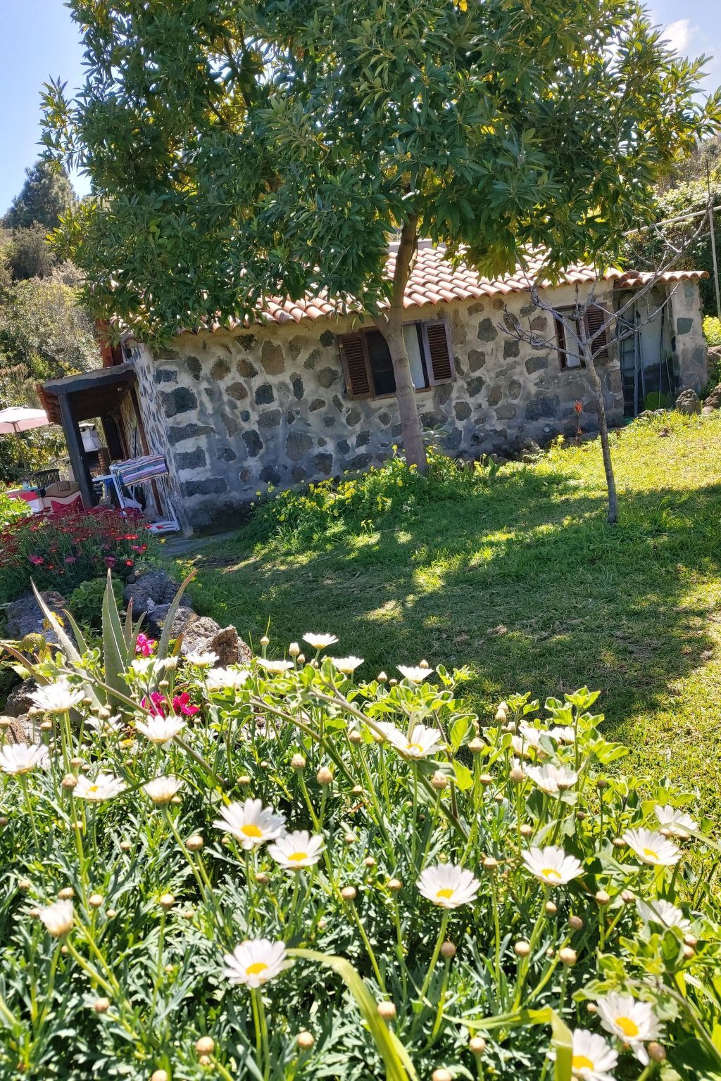 Finca Cueva del Viento à Icod de los Vinos - Photo 33