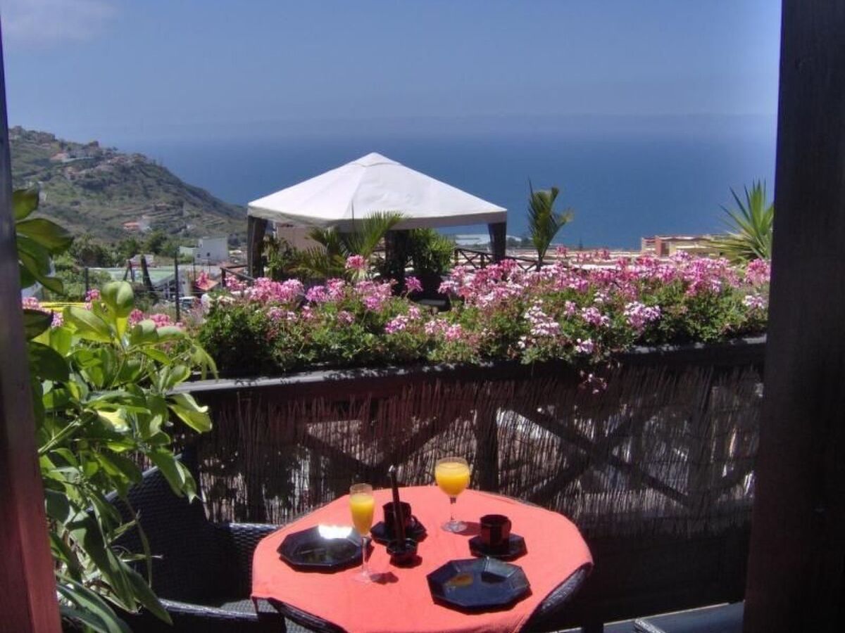 Appartement avec vue mer à Icod de los Vinos - Photo 1