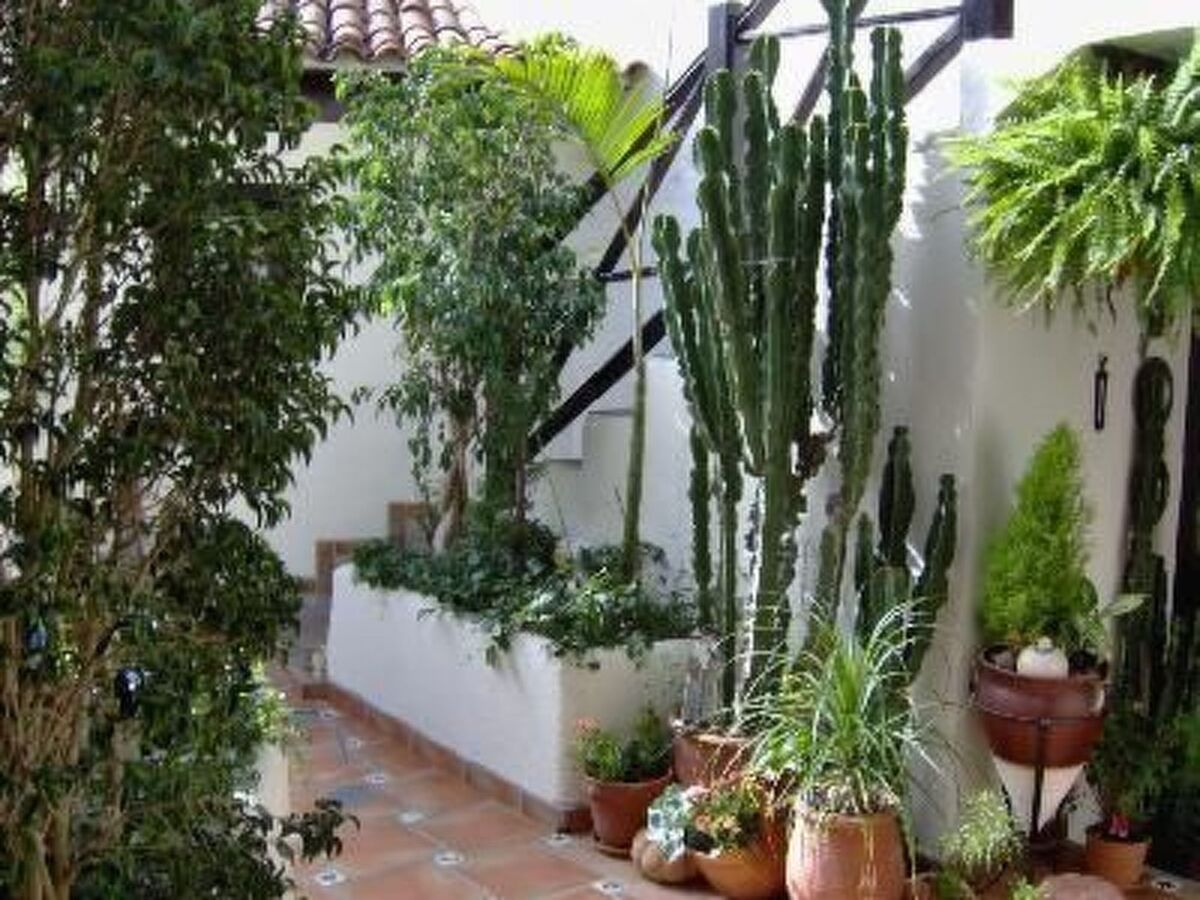 Appartement avec vue mer à Icod de los Vinos - Photo 11