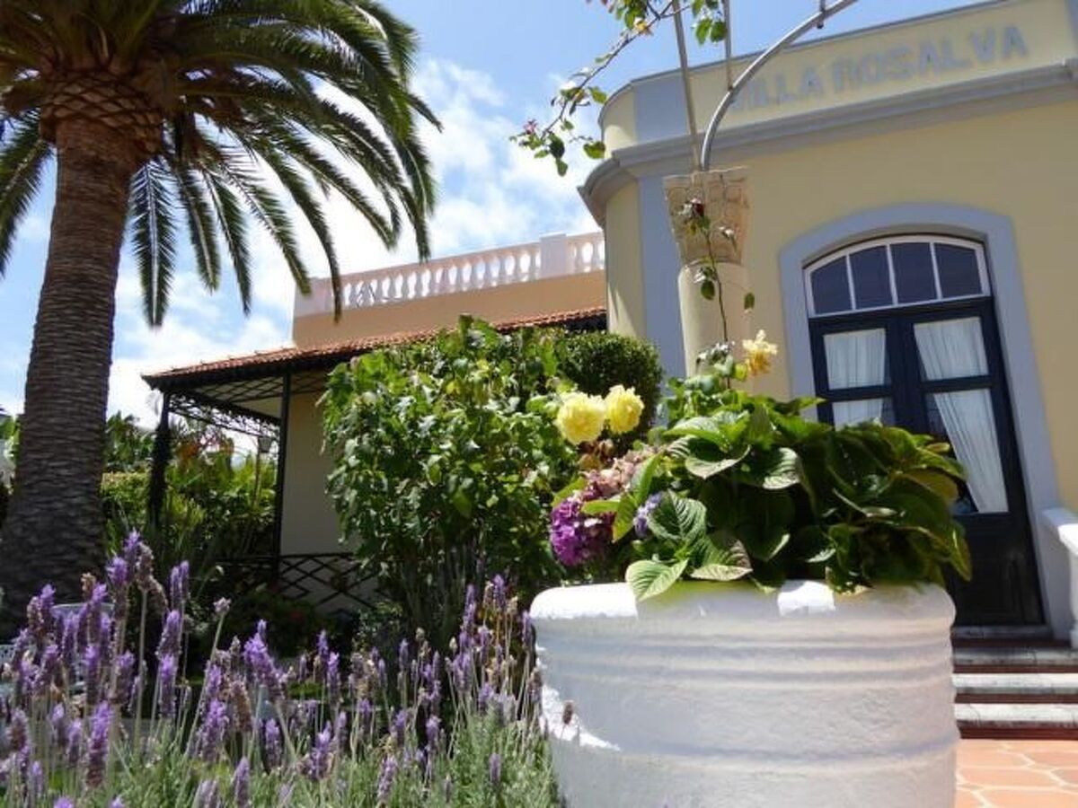 Appartement 55 m² terrasse à Puerto de la Cruz - Photo 1