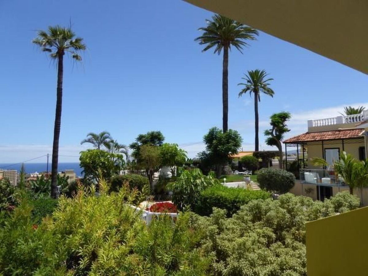 Appartement 55 m² terrasse à Puerto de la Cruz - Photo 5