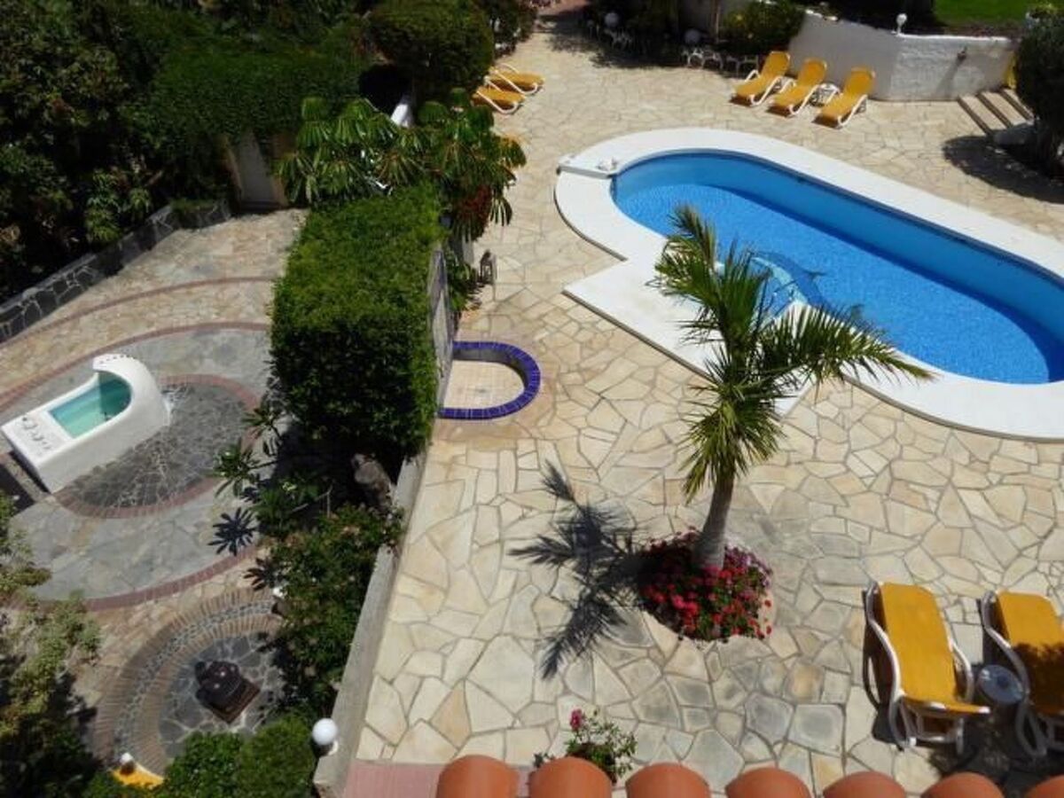 Appartement 55 m² terrasse à Puerto de la Cruz - Photo 7