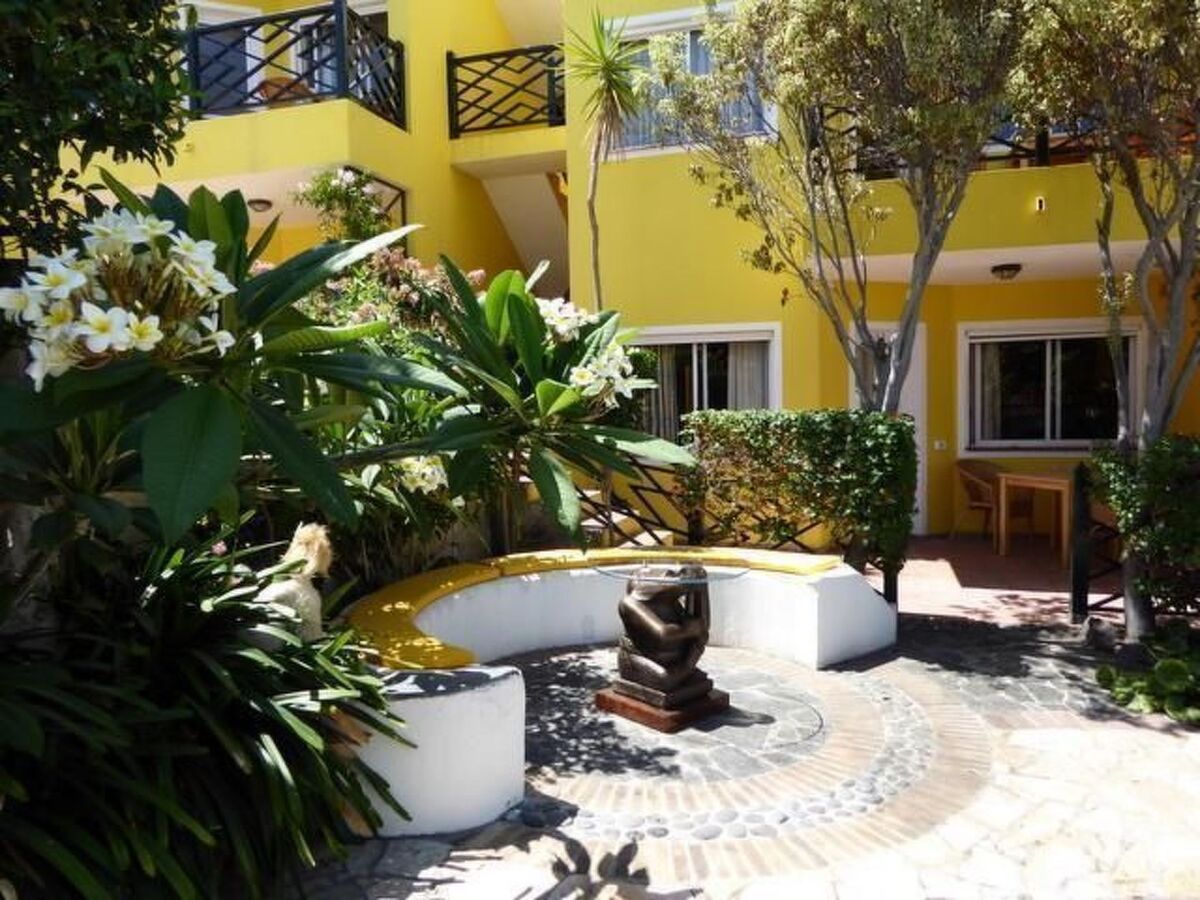 Appartement 55 m² terrasse à Puerto de la Cruz - Photo 9