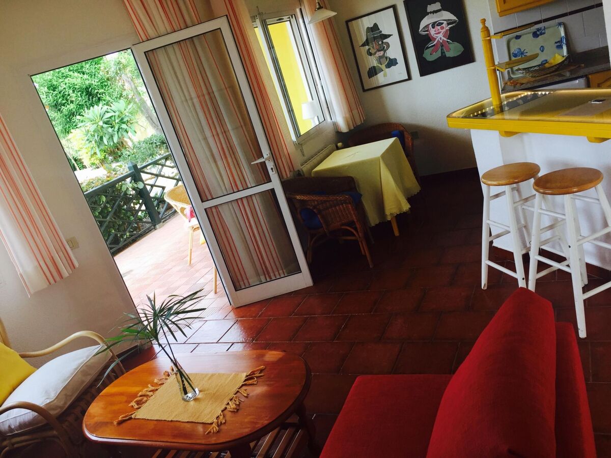 Appartement 55 m² terrasse à Puerto de la Cruz - Photo 13