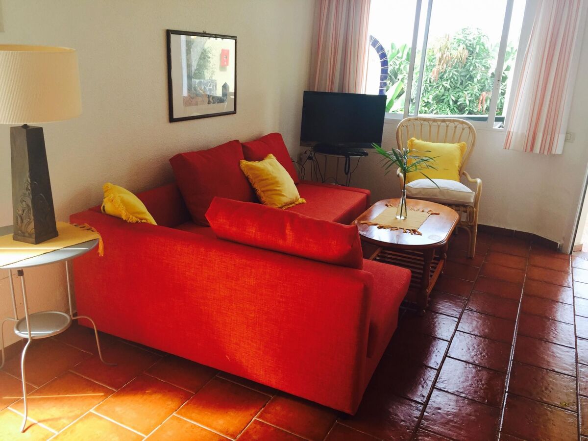 Appartement 55 m² terrasse à Puerto de la Cruz - Photo 14