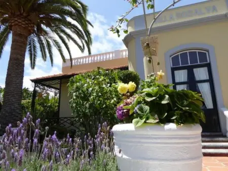 Location appartement à Puerto de la Cruz, Apartment Typ B