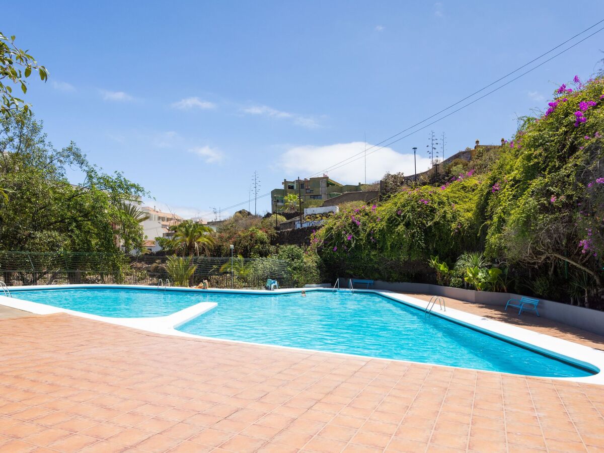 Appartement 1 chambre avec piscine à Puerto de la Cruz - Photo 18