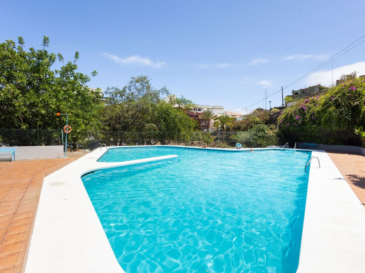 Appartement 1 chambre avec piscine à Puerto de la Cruz - Photo 19