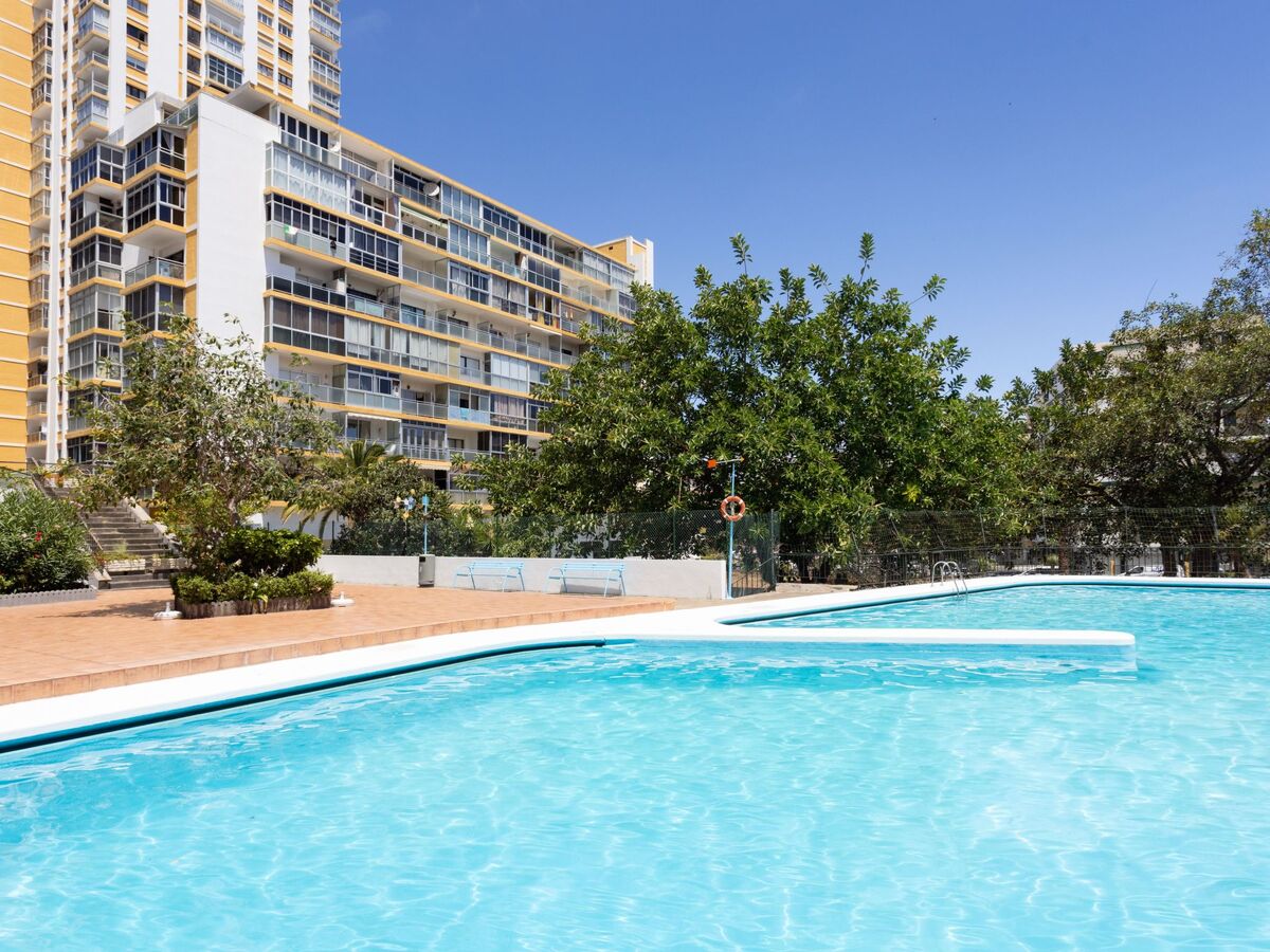Appartement 1 chambre avec piscine à Puerto de la Cruz - Photo 20