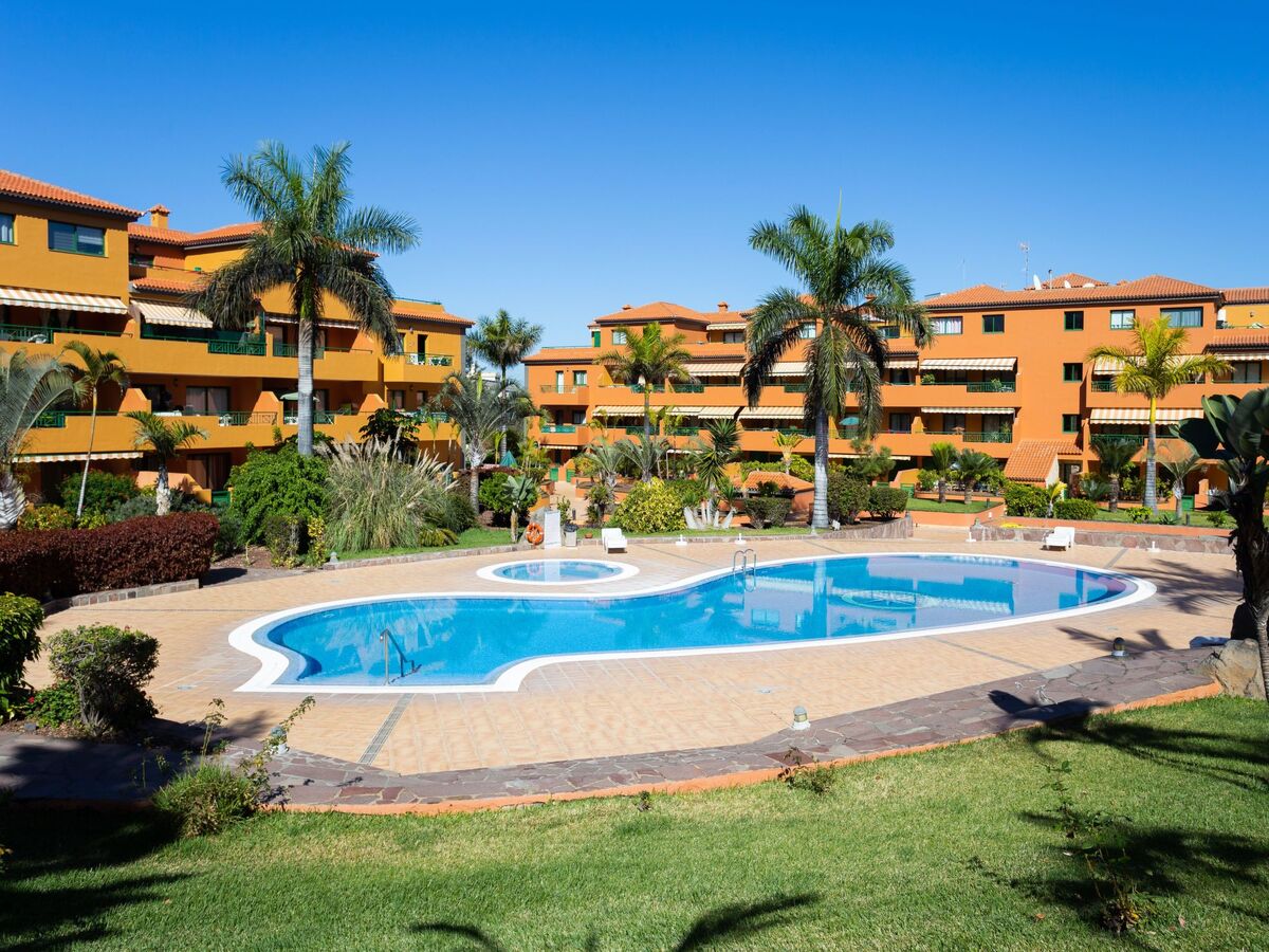 Appartement 2 ch avec terrasse et piscine à Puerto de la Cruz - Photo 2