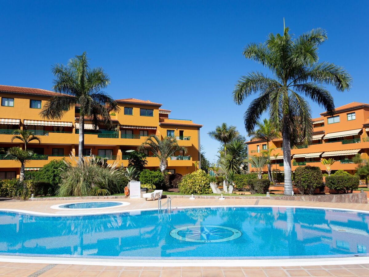 Appartement 2 ch avec terrasse et piscine à Puerto de la Cruz - Photo 3