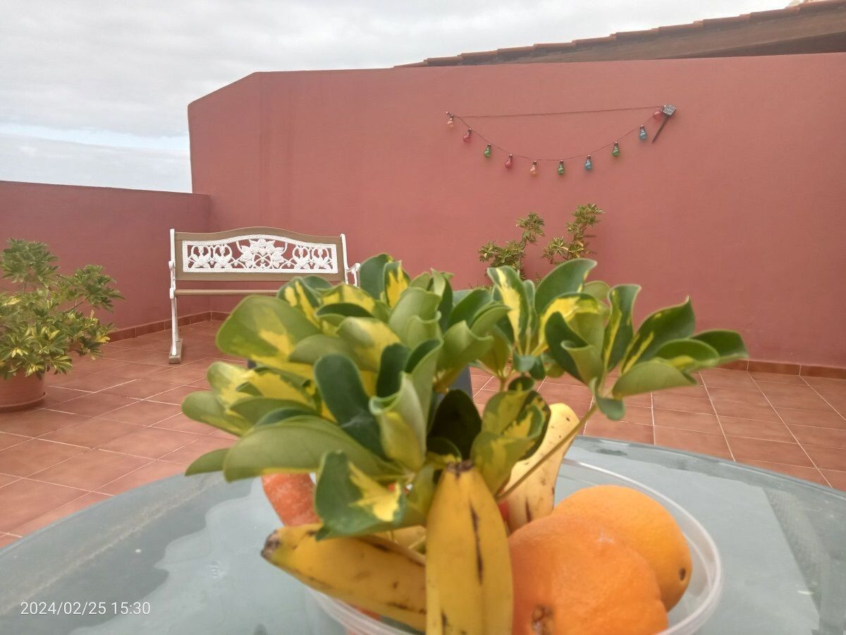 Appartement vue mer à 20m de la plage, Puerto de la Cruz - Photo 6