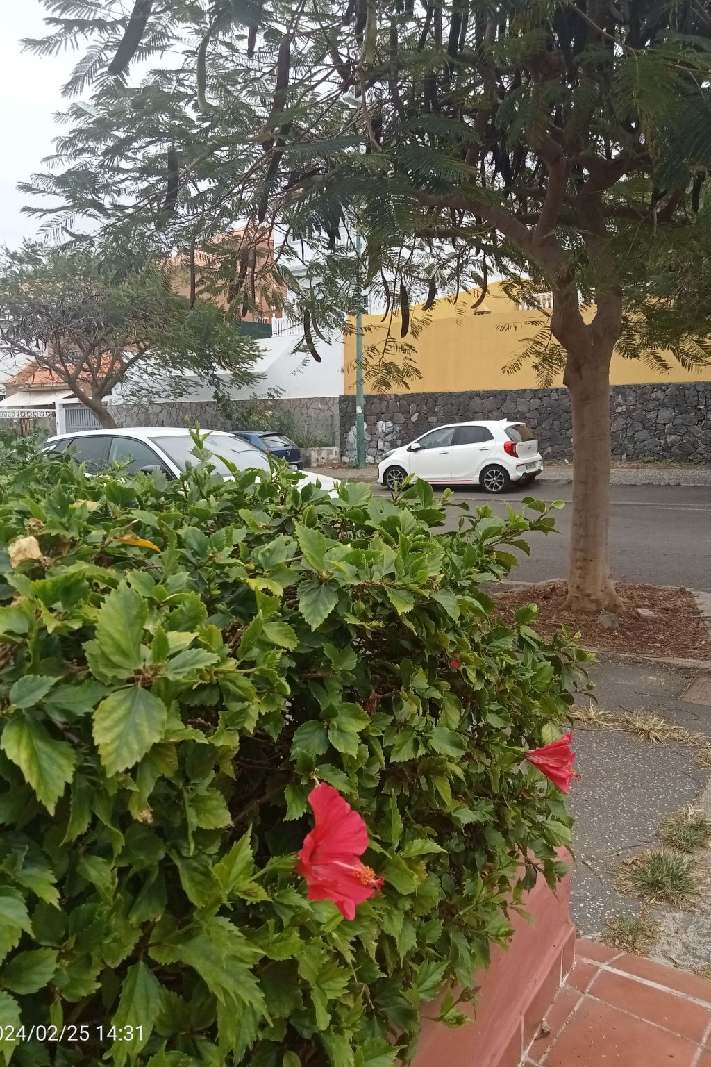 Appartement vue mer à 20m de la plage, Puerto de la Cruz - Photo 29