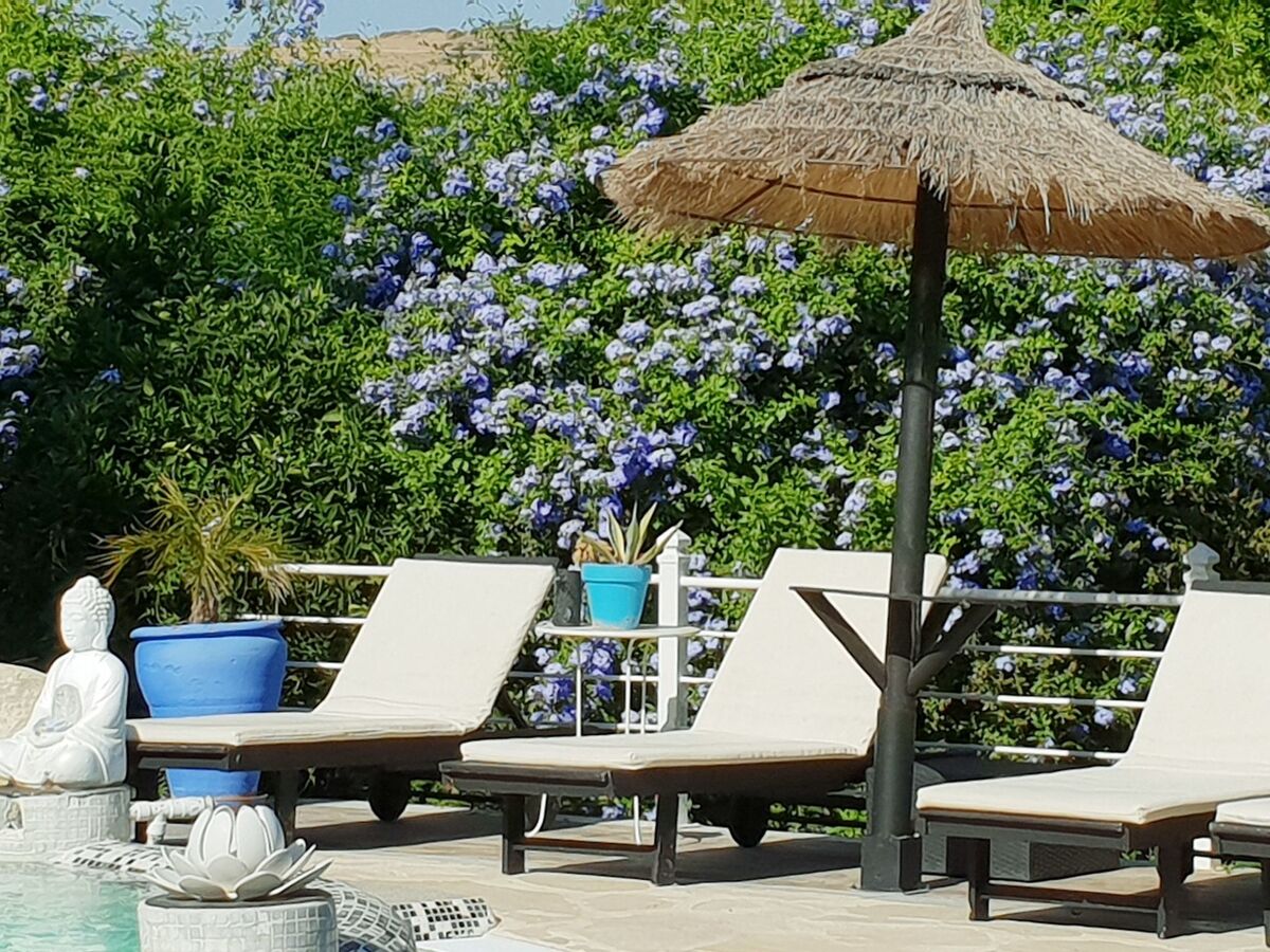 Das Lotus-Haus – Maison avec jacuzzi et piscine privée à Álora - Photo 5
