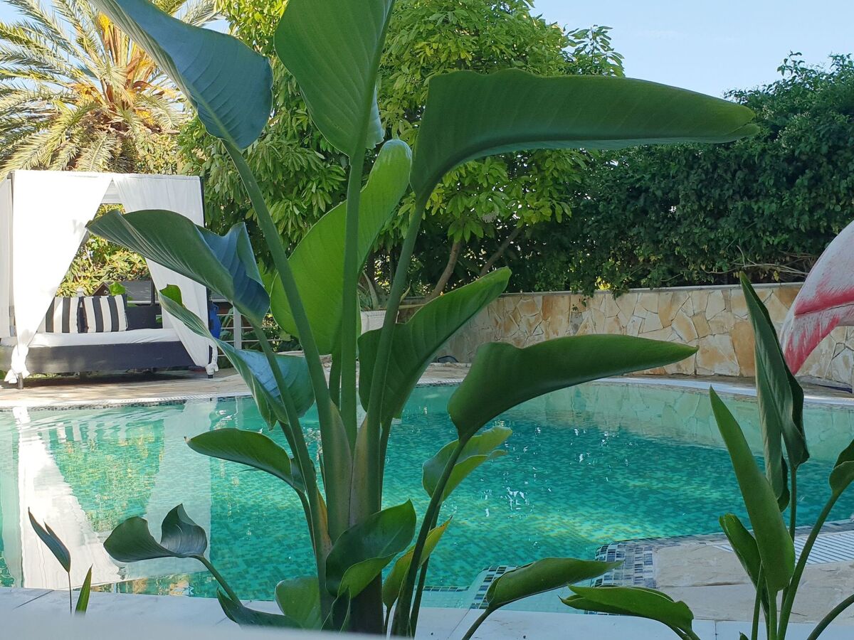 Das Lotus-Haus – Maison avec jacuzzi et piscine privée à Álora - Photo 10
