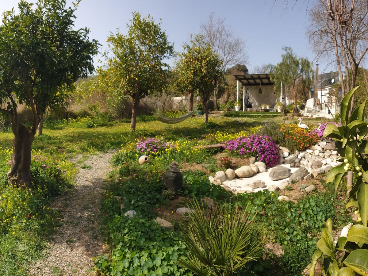 Das Lotus-Haus – Maison avec jacuzzi et piscine privée à Álora - Photo 51