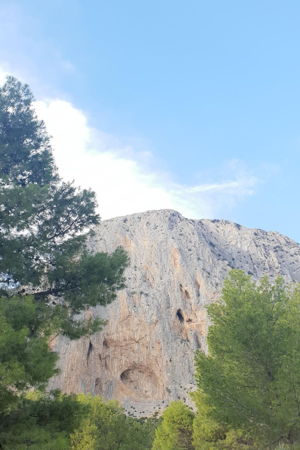 Das Lotus-Haus – Maison avec jacuzzi et piscine privée à Álora - Photo 55