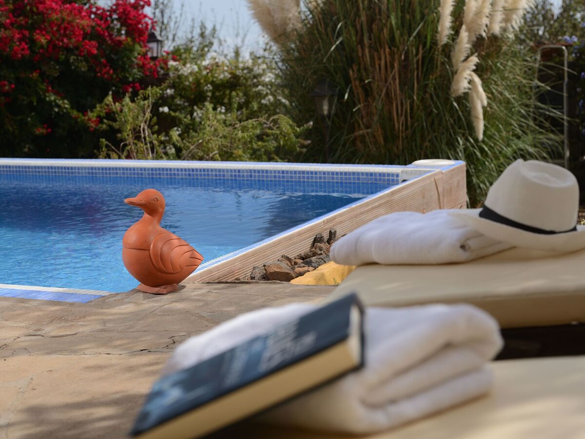 Finca La Majadera, maison rurale 1856 avec piscine - Photo 6