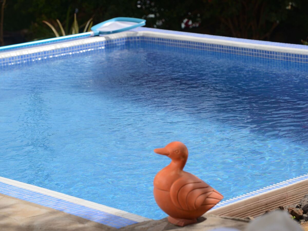 Finca La Majadera, maison rurale 1856 avec piscine - Photo 15