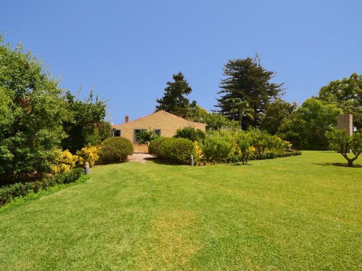 Maison Madroñal : piscine 22m et jardin de 5000m² - Photo 10