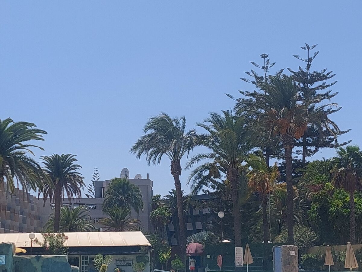 Agaete Parque – Appartement 2 chambres à Maspalomas - Photo 24