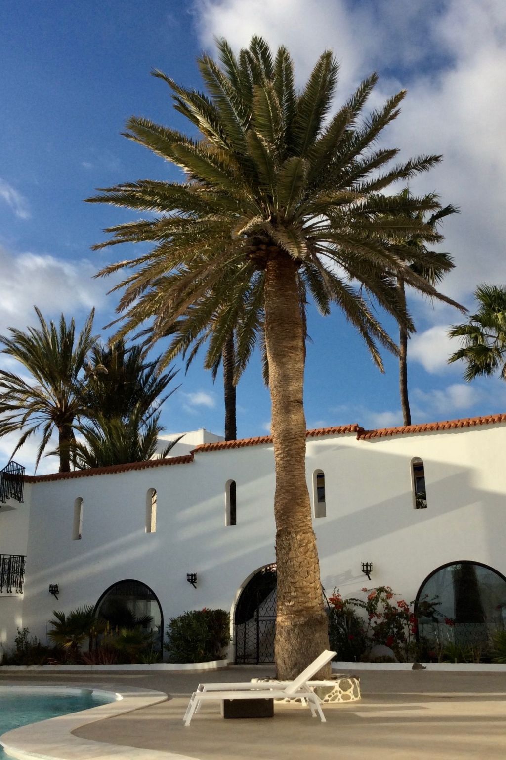 Appartement vue océan à 10m de la mer, Maspalomas - Photo 31