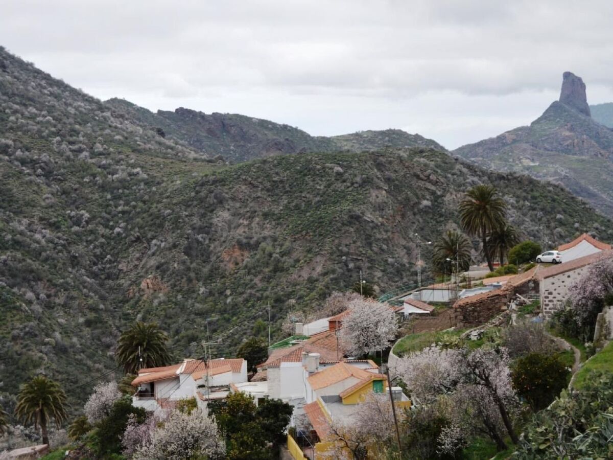 Maison canarienne de 1800 à El Juncal, cœur de Gran Canaria - Photo 40