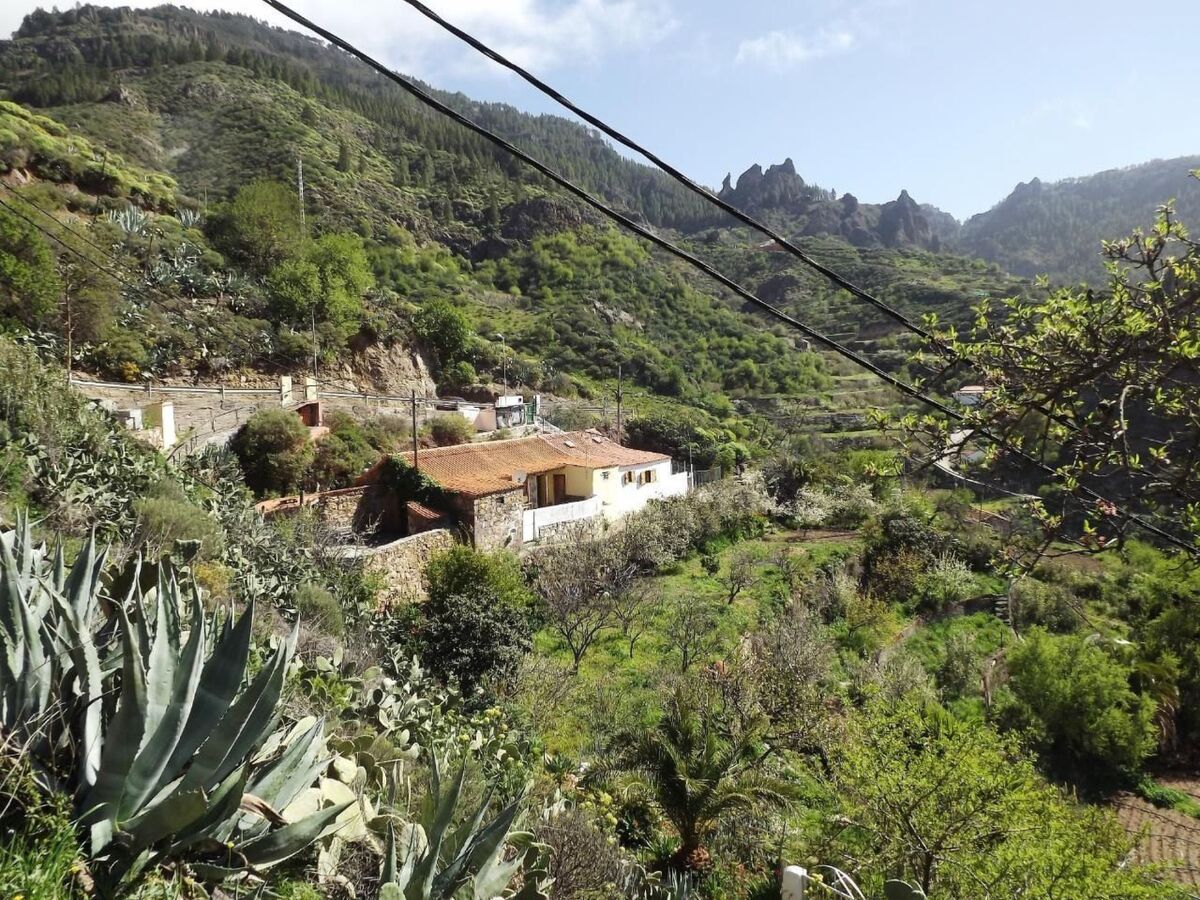 Maison canarienne de 1800 à El Juncal, cœur de Gran Canaria - Photo 45
