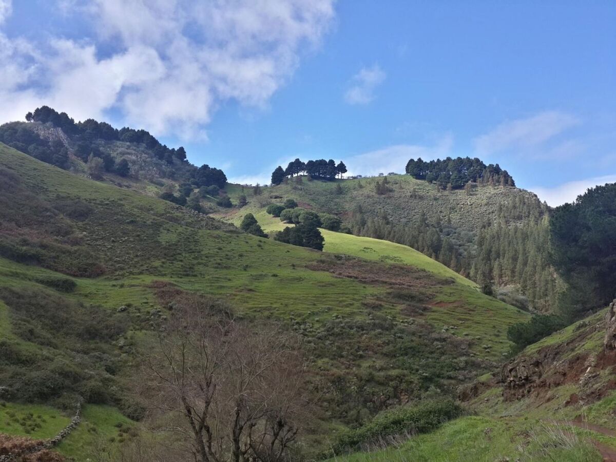 Maison La Cabaña à Caideros – terrain de 2 500 m² en lisière de bois - Photo 21