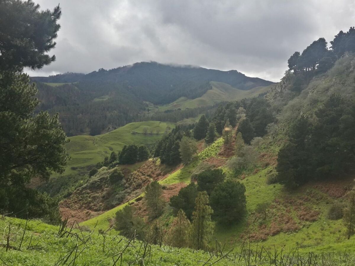 Maison La Cabaña à Caideros – terrain de 2 500 m² en lisière de bois - Photo 22