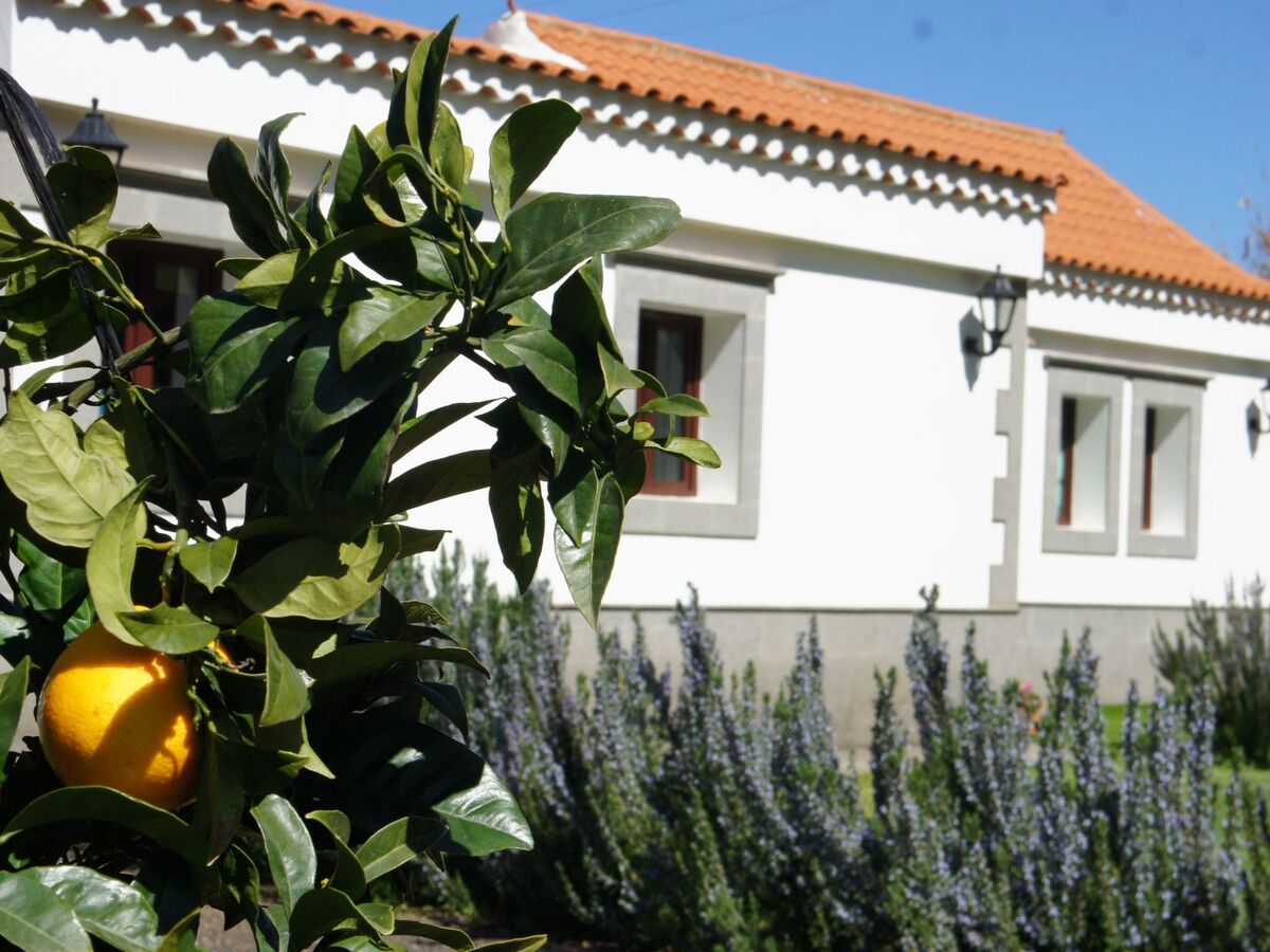 Casa Lucas - Maison 8 pers. piscine & spa à Vega de San Mateo - Photo 32