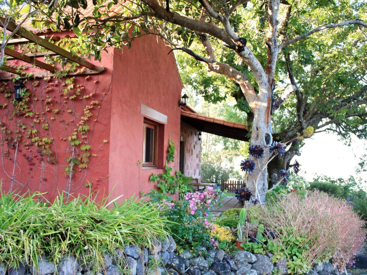 Maison de campagne avec piscine privée à Gran Canaria - Photo 1