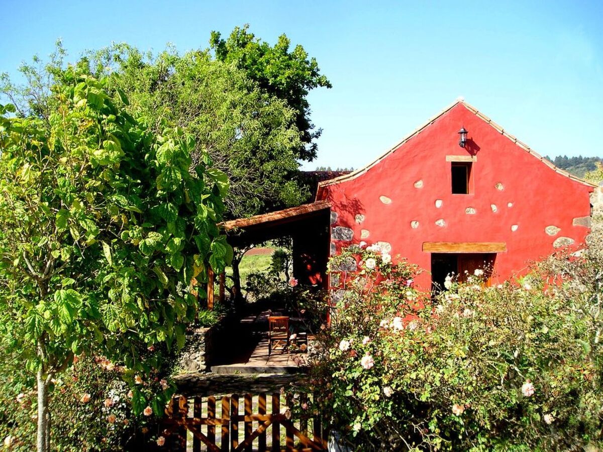 Maison de campagne avec piscine privée à Gran Canaria - Photo 3