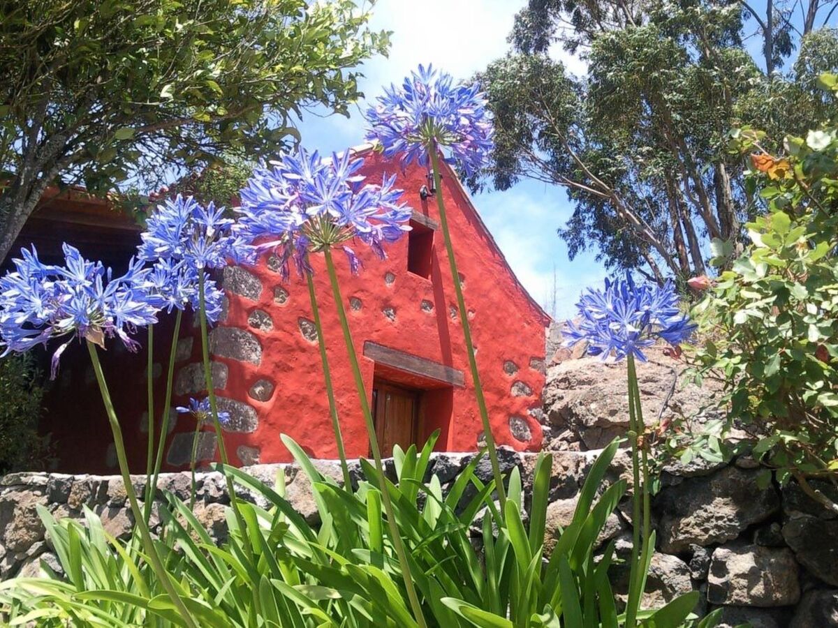 Maison de campagne avec piscine privée à Gran Canaria - Photo 10