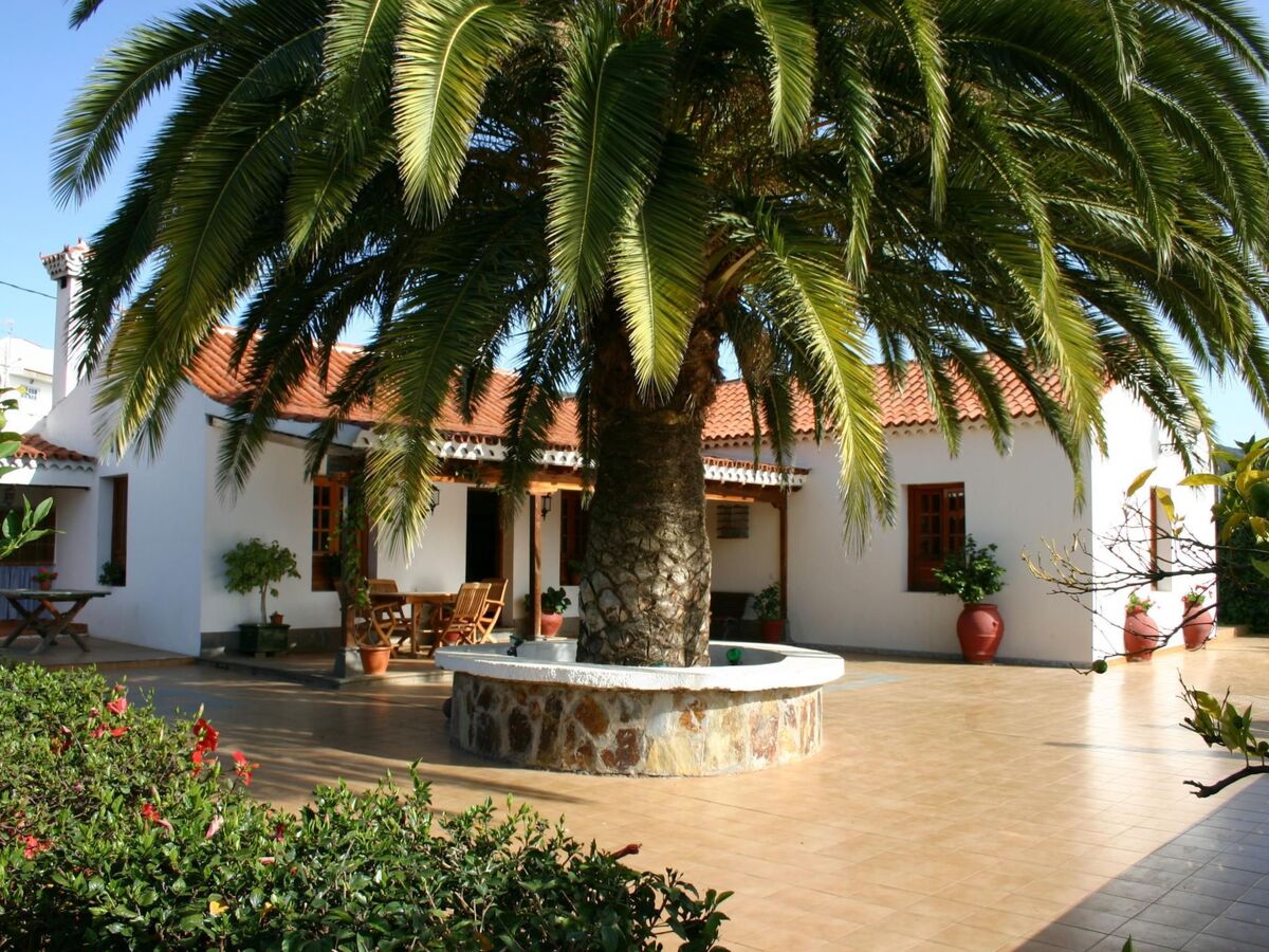 Finca Elena – maison canarienne 1946 avec piscine privée à Valsequillo - Photo 4
