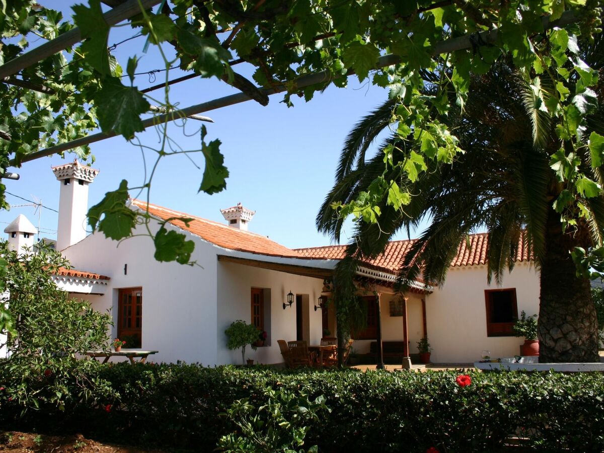 Finca Elena – maison canarienne 1946 avec piscine privée à Valsequillo - Photo 5