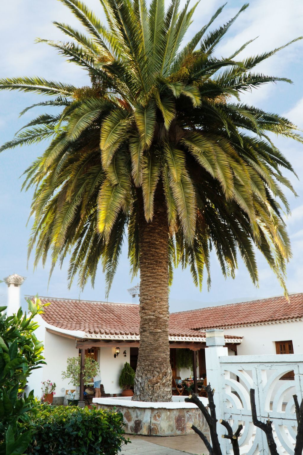 Finca Elena – maison canarienne 1946 avec piscine privée à Valsequillo - Photo 30