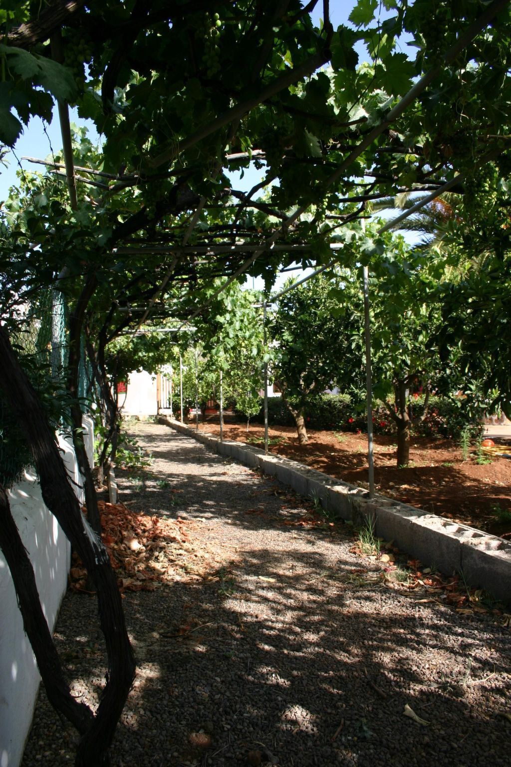 Finca Elena – maison canarienne 1946 avec piscine privée à Valsequillo - Photo 32