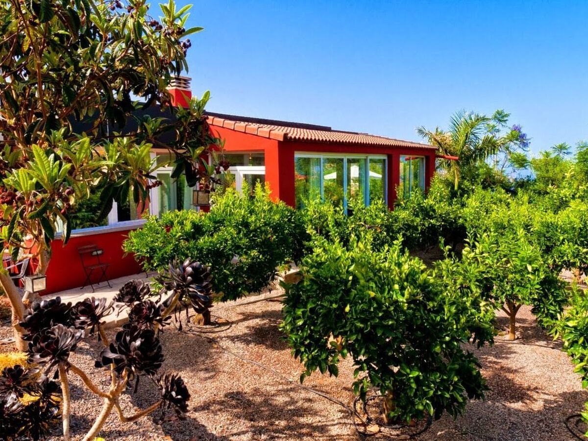 Villa de montagne à Valsequillo – 300 m², vue panoramique mer et montagne - Photo 8