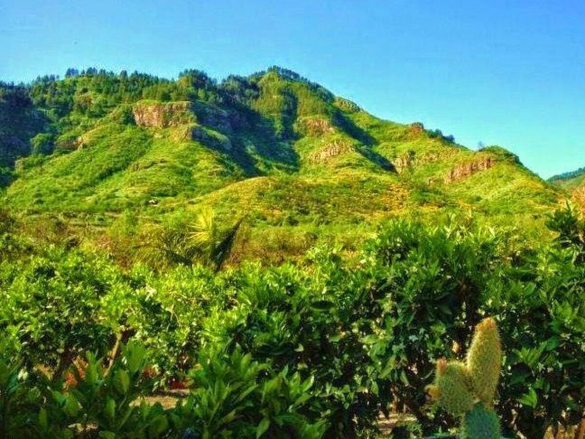 Villa de montagne à Valsequillo – 300 m², vue panoramique mer et montagne - Photo 28