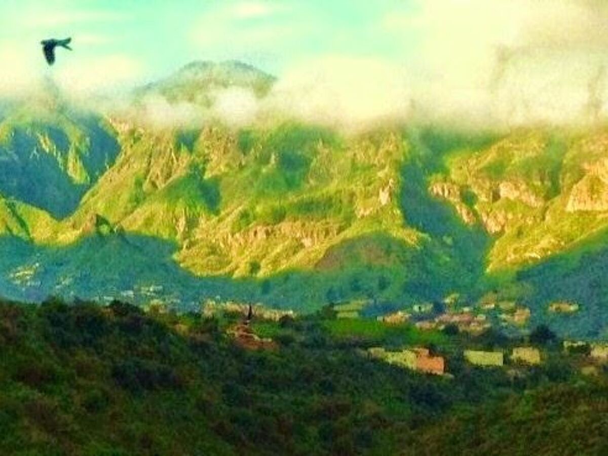 Villa de montagne à Valsequillo – 300 m², vue panoramique mer et montagne - Photo 30