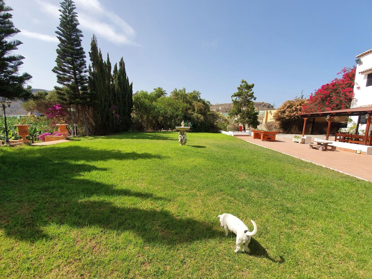 Finca Hacienda – Villa coloniale 7 ch. avec piscine à Cabo Verde - Photo 8