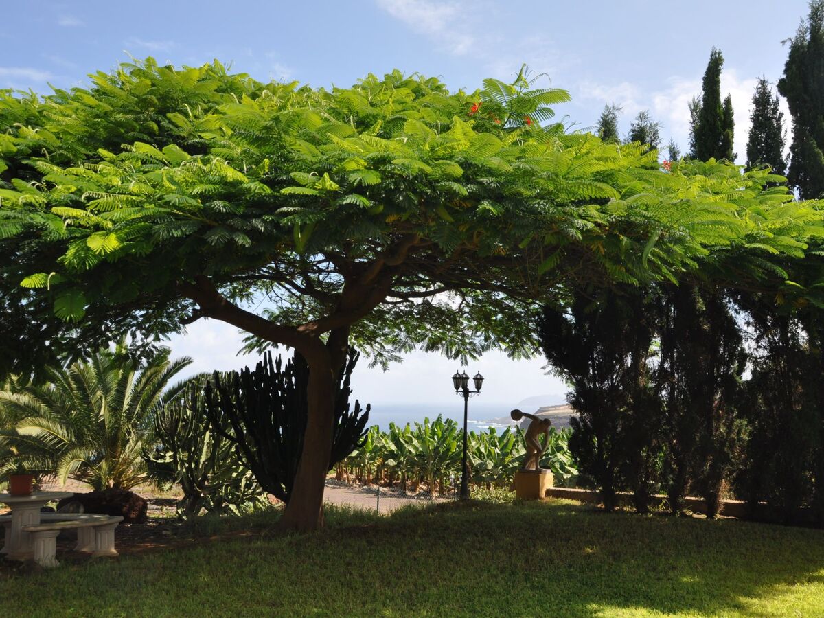 Finca Hacienda – Villa coloniale 7 ch. avec piscine à Cabo Verde - Photo 12