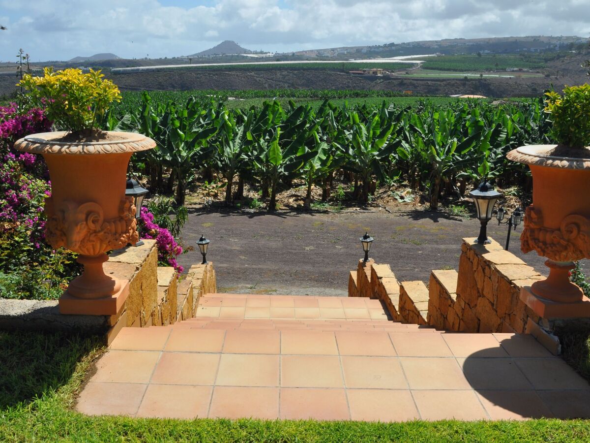 Finca Hacienda – Villa coloniale 7 ch. avec piscine à Cabo Verde - Photo 14