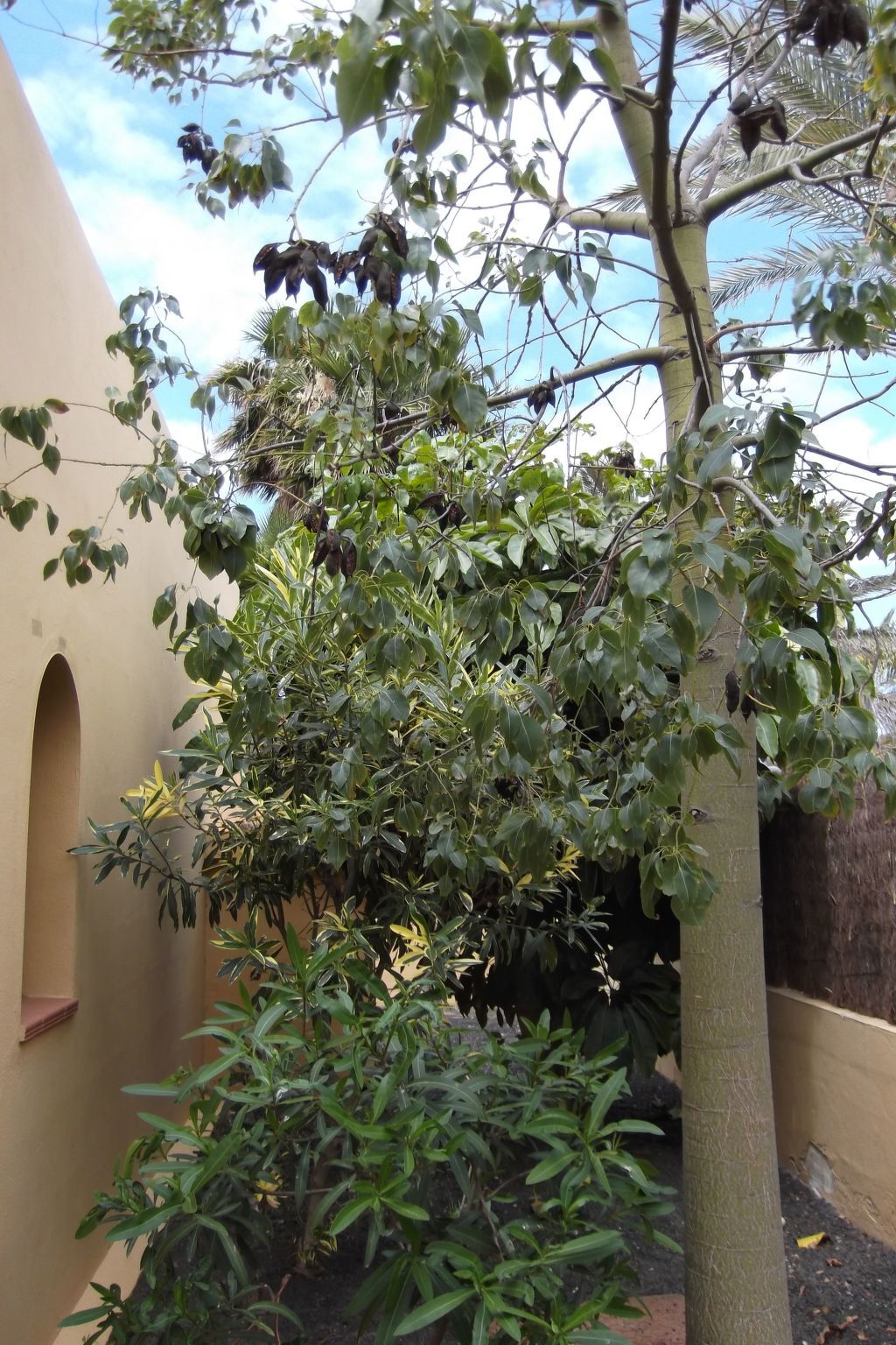 Ferienvilla Marvida - Maison 6 pers., piscine chauffée - Photo 24
