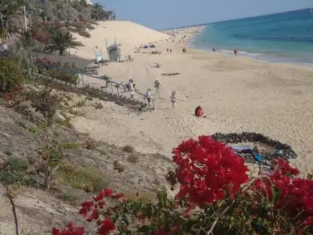 Appartement Morro Jable, terrasse mer et plage à 5 min : photo 14